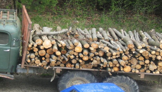 Планирано е снабдяването с дърва за огрев за 2011 г. в община Болярово