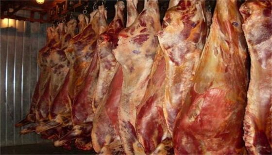 Почти 4 тона контрабандно говеждо месо задържаха митничарите от ГККП-Лесово